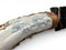 XL Obsidian & Scrimshaw