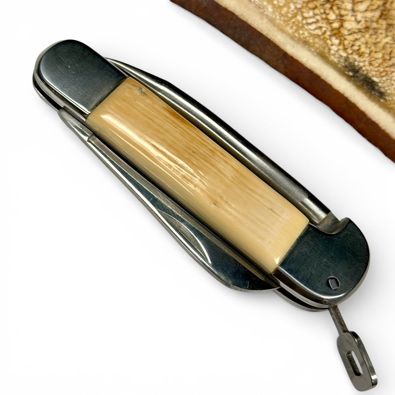 Marlin Spike w/ Ivory