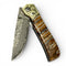 Mammoth Tooth & Damascus Knife