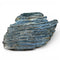 Woolly Mammoth Tooth