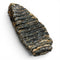 Woolly Mammoth Tooth