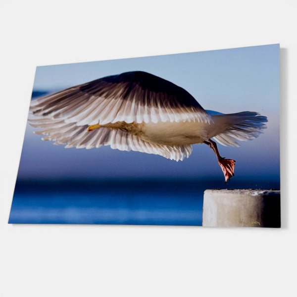 Take Off Metal Print