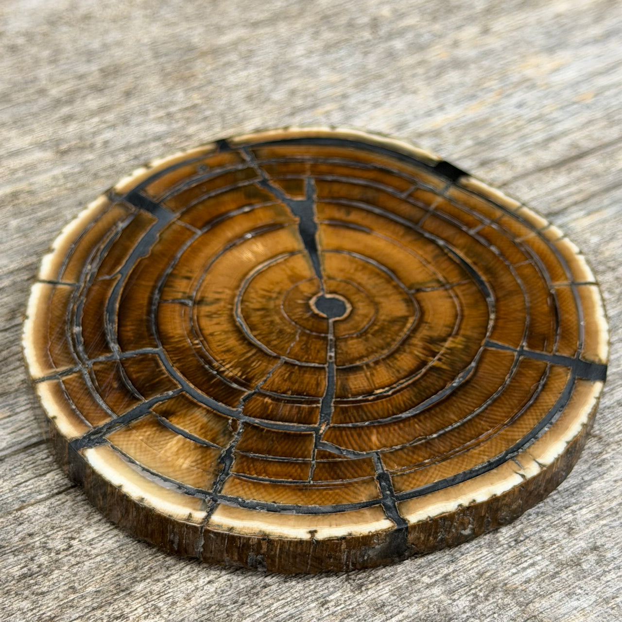 Mammoth Ivory Slice