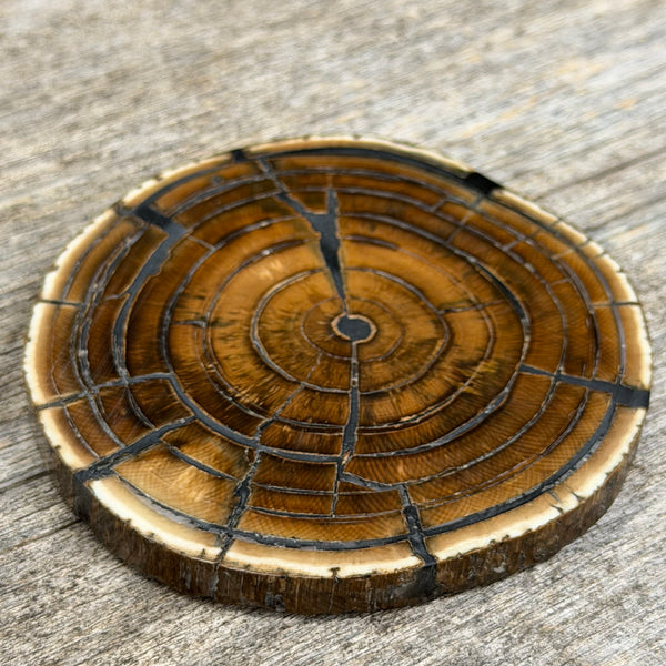 Mammoth Ivory Slice