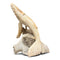 Humpback Whale Carving