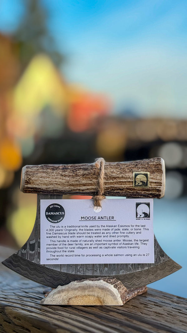 Moose Antler & Damascus Ulu