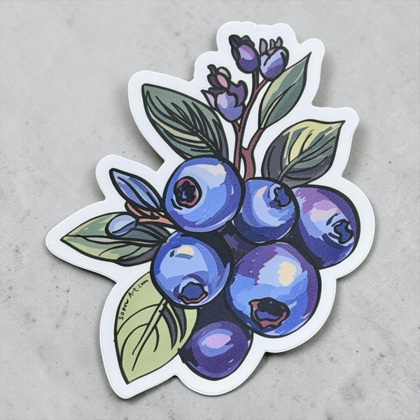 Blueberry Sticker