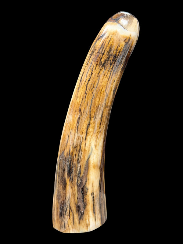 Mammoth Ivory Tusk