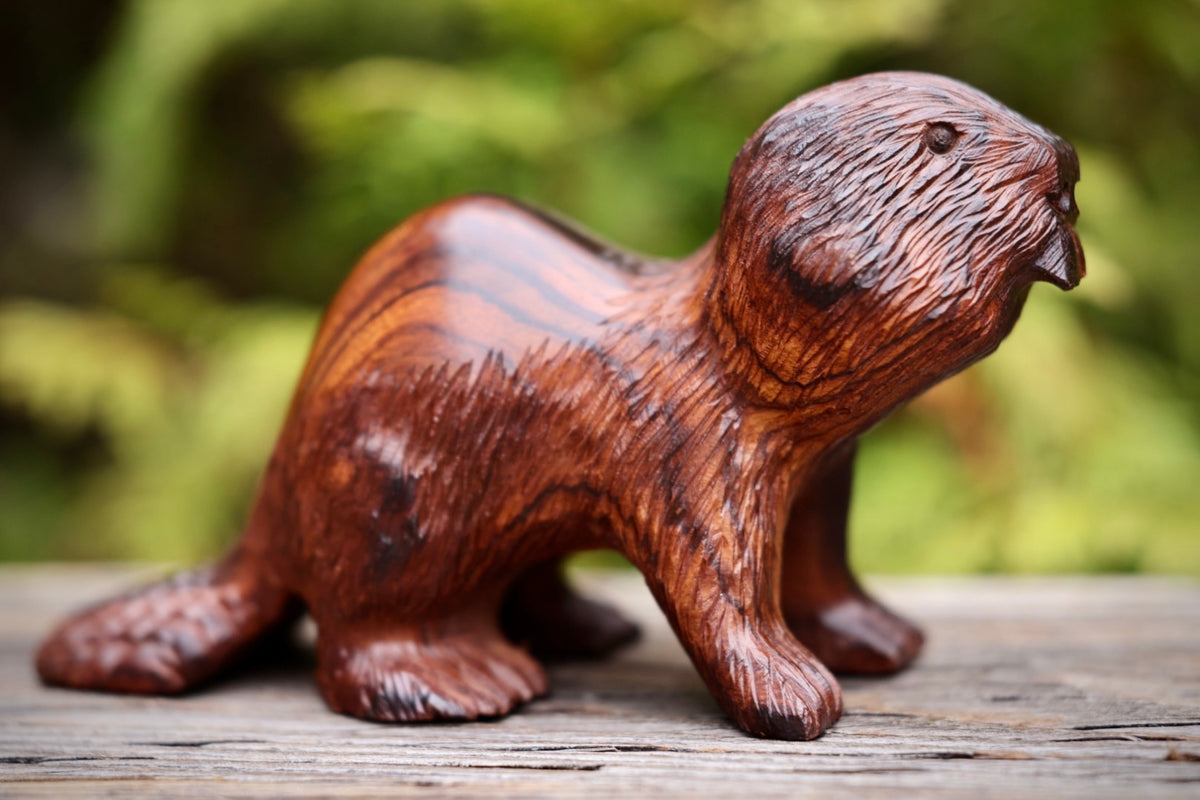 B73354FA-8EF2-4D8D-9826-