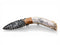 Obsidian & Scrimshaw