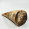 Mammoth Ivory Tusk