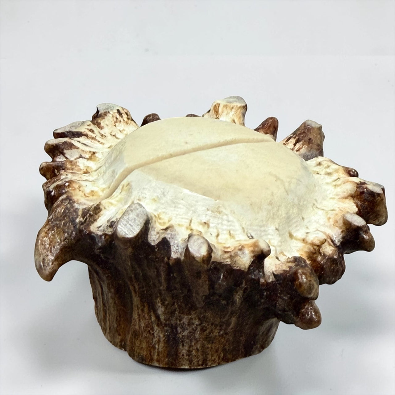 Antler Crown Knife Stand