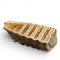 Woolly Mammoth Tooth