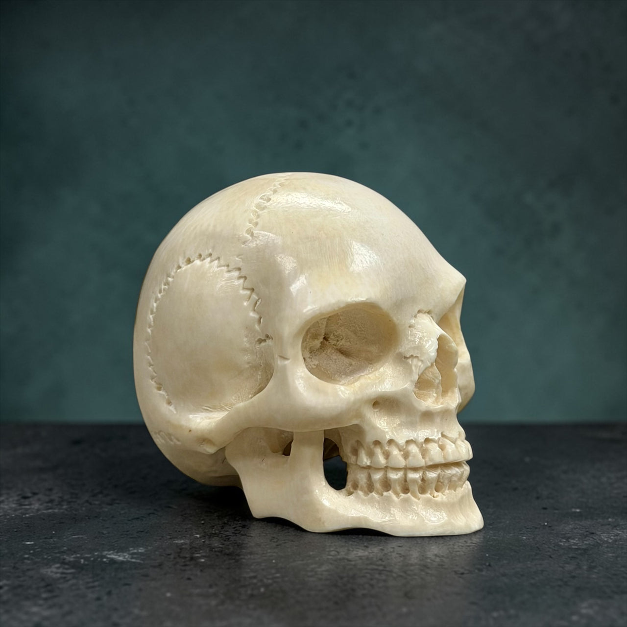 Ivory Skull Carving