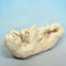 Ivory Otter Carving