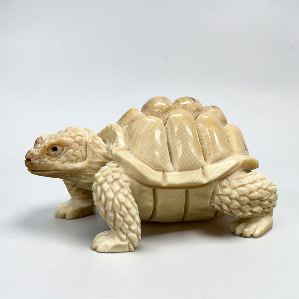 Ivory Turtle Carving