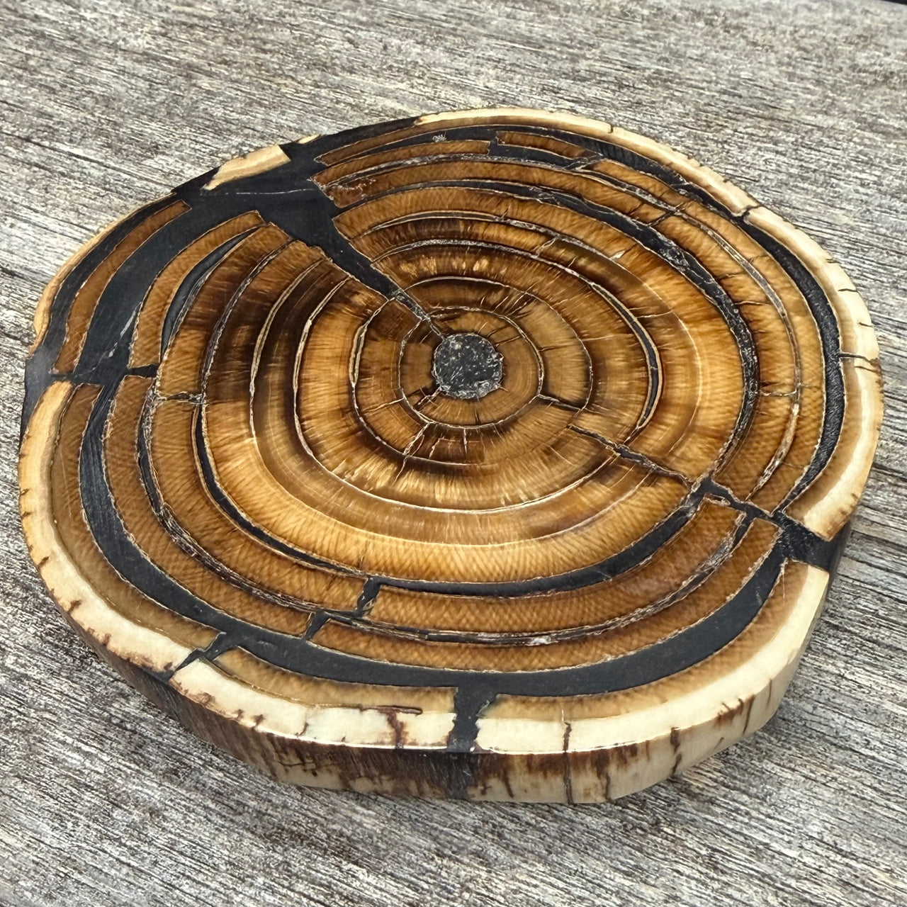 Mammoth Ivory Slice
