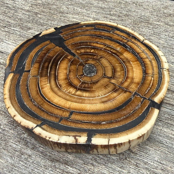 Mammoth Ivory Slice