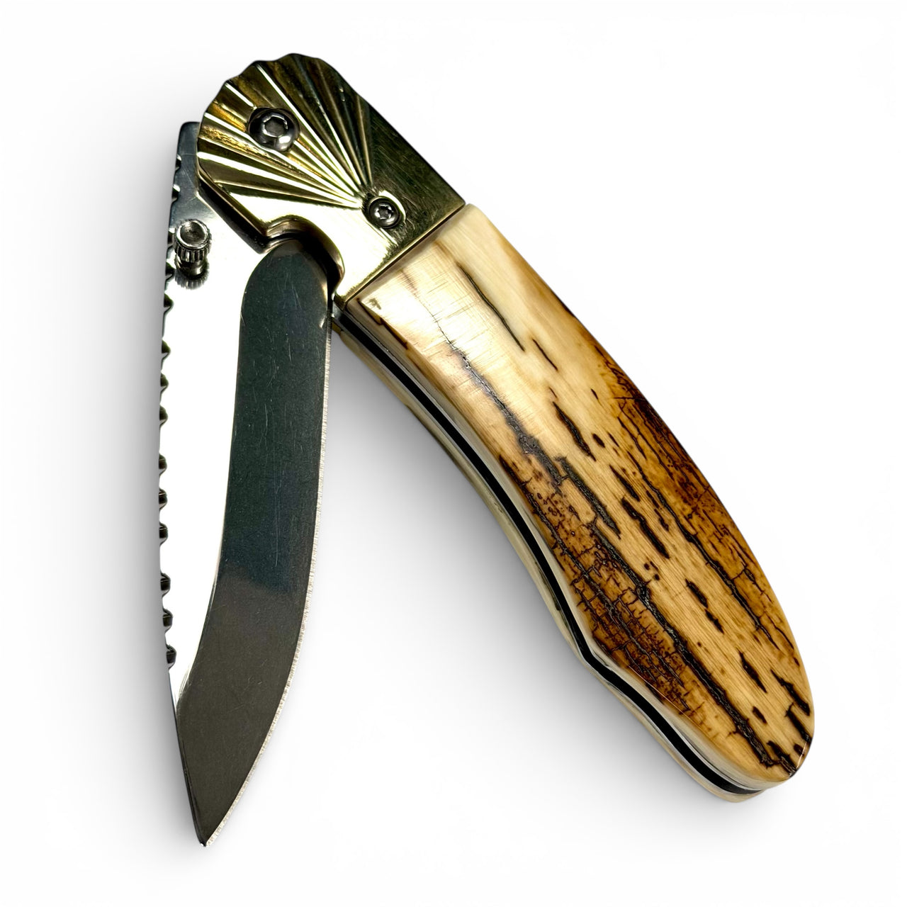 Aurora Mammoth Ivory