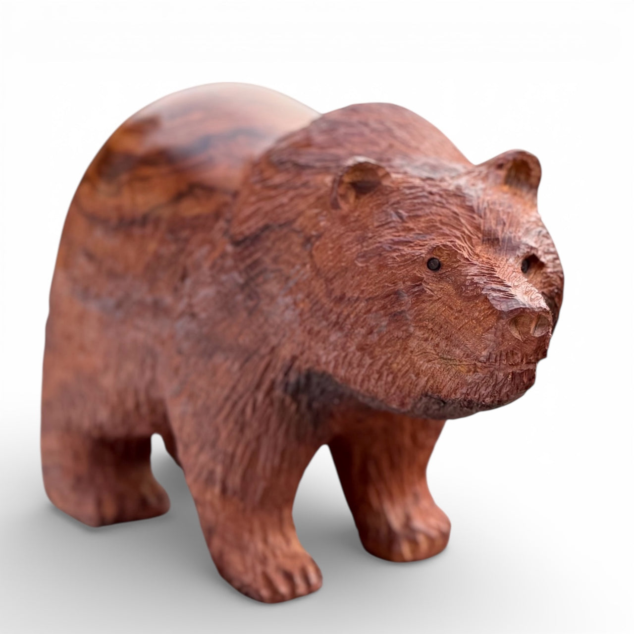 Bear Rough & Smooth