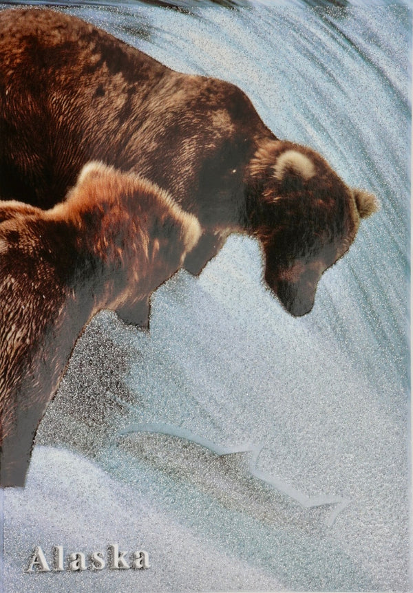 Grizzly & Salmon Postcard