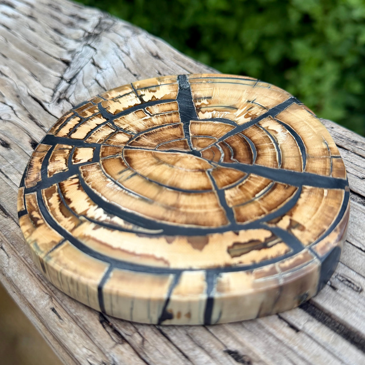 Mammoth Ivory Slice