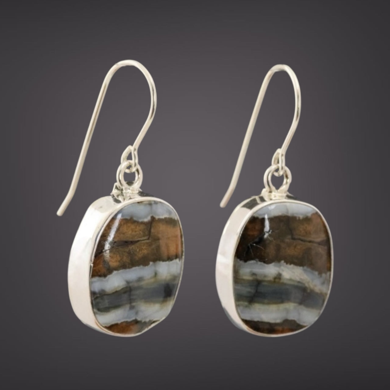 Mammoth Tooth Earrings