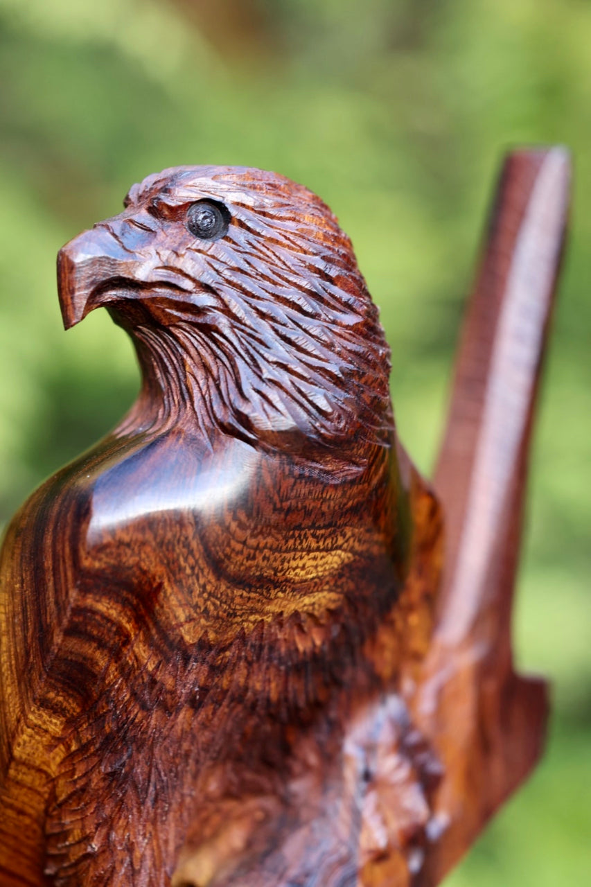 Eagle on Branch