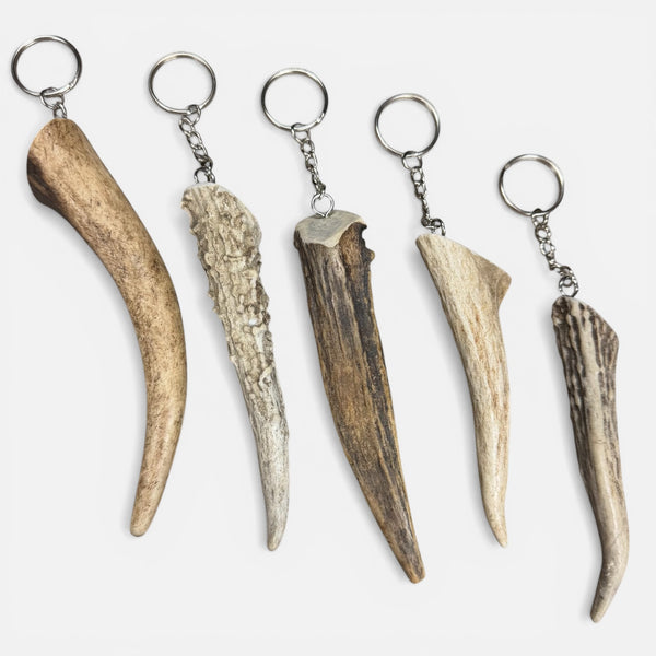 Antler Keychain