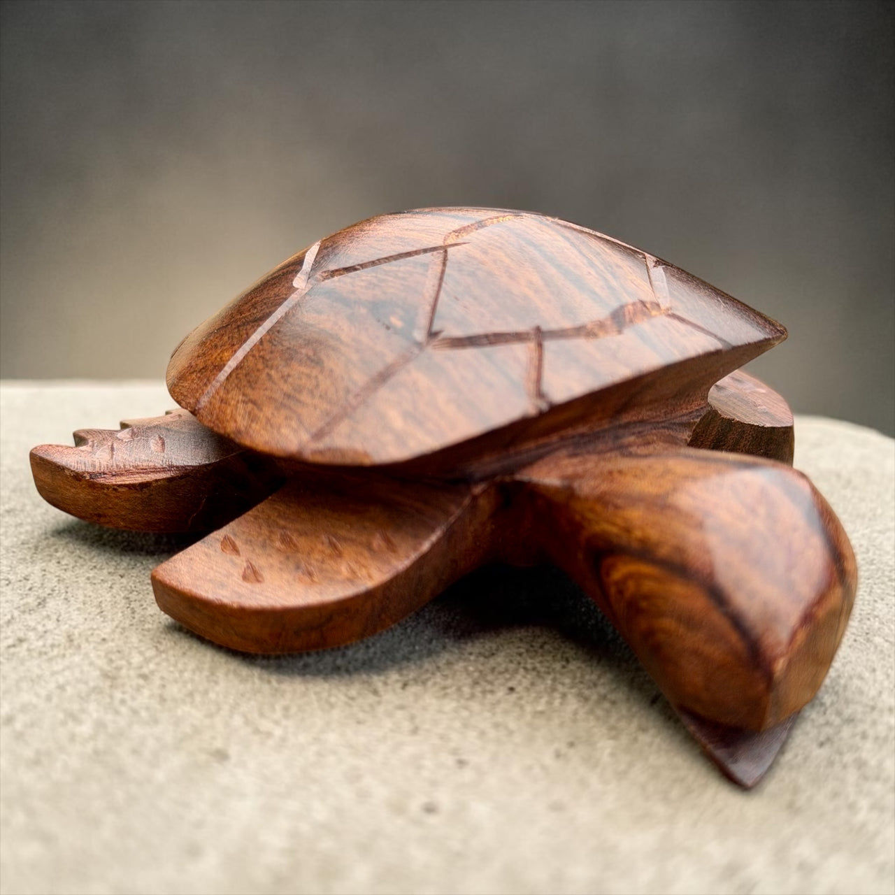 Mini Turtle
