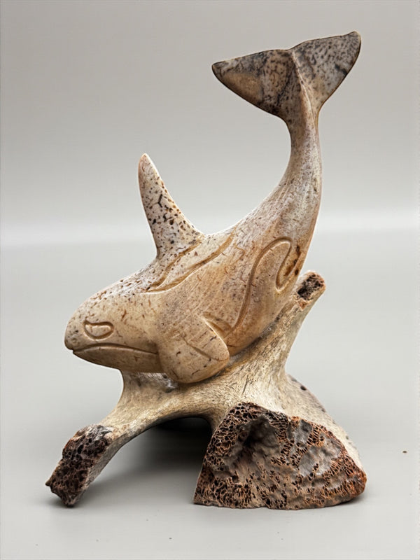 Orca Carving
