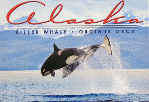 Orcas Postcard