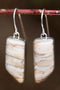 Mammoth Tooth Earrings