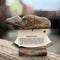 Walrus Jawbone Ulu