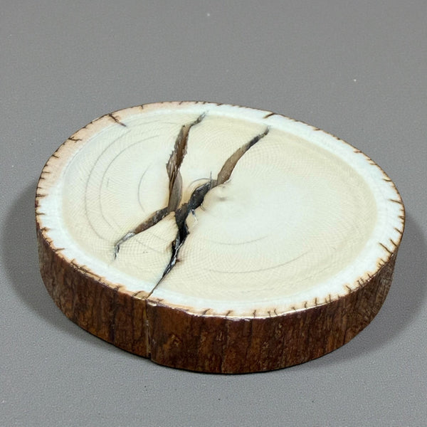 Mammoth Ivory Slice