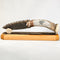 Obsidian & Scrimshaw