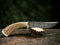 Antler Crown Knife Stand