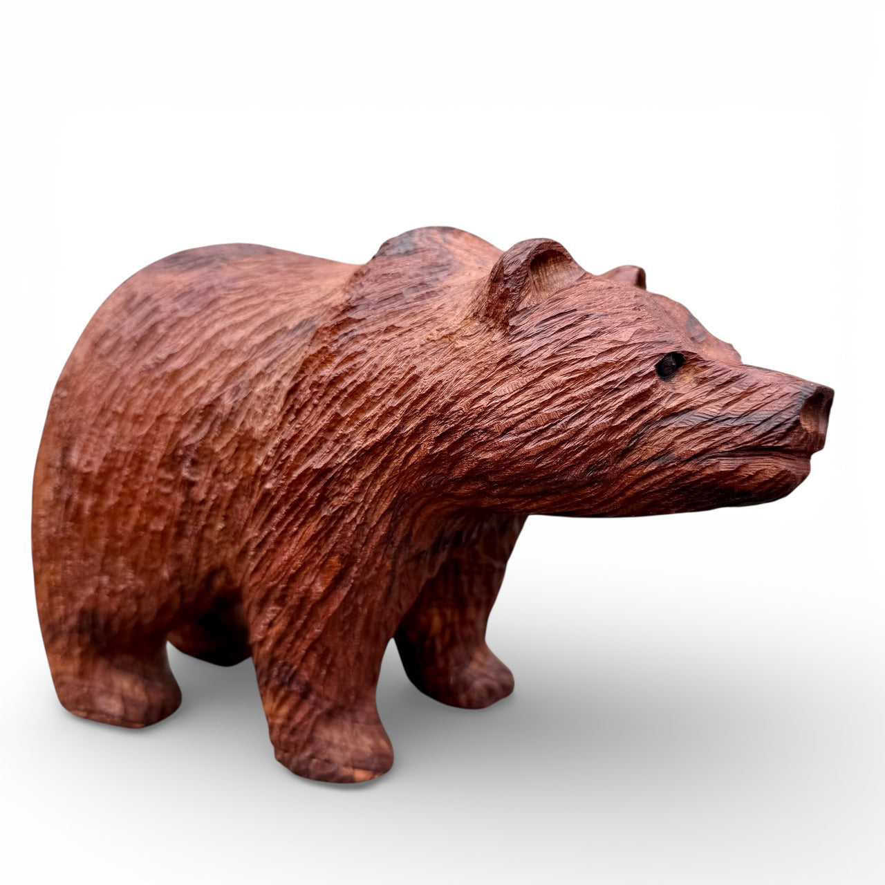 Rough Bear