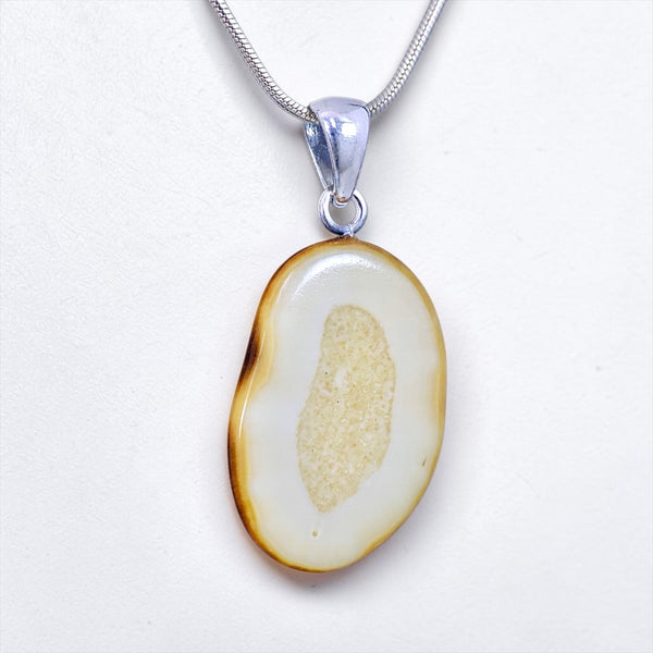 Walrus Ivory Pendant
