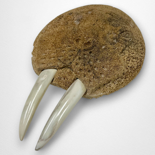 Whale Bone Walrus Mask