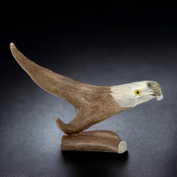 Caribou Antler Eagle