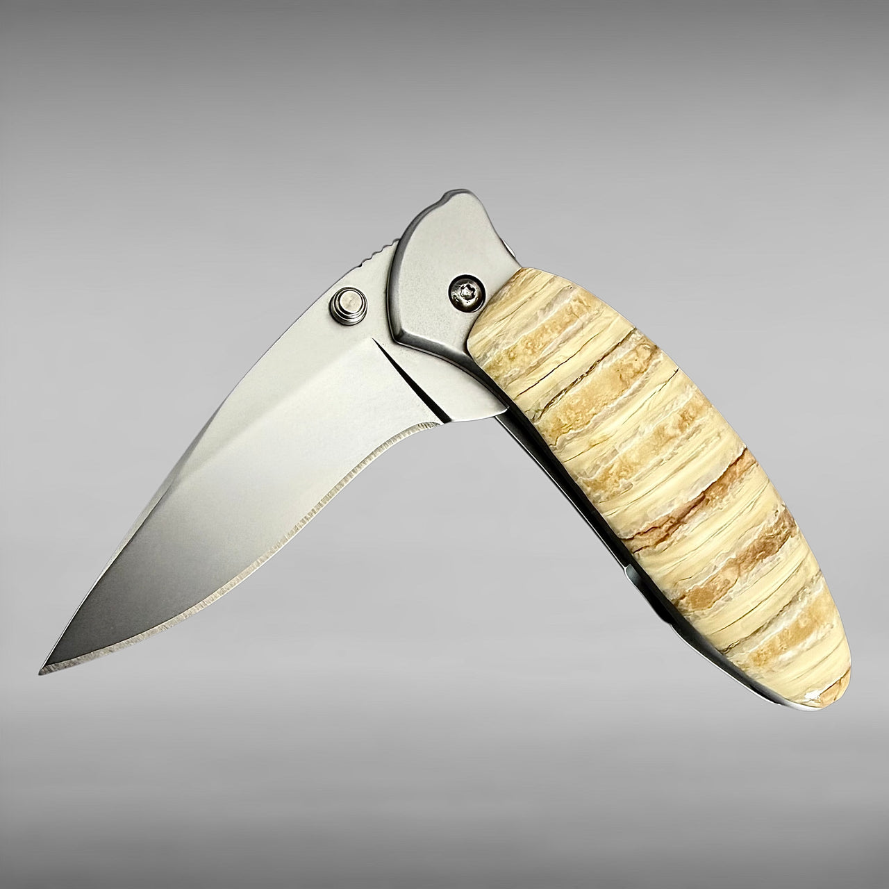 Kershaw 1600 w/ Mammoth Tooth