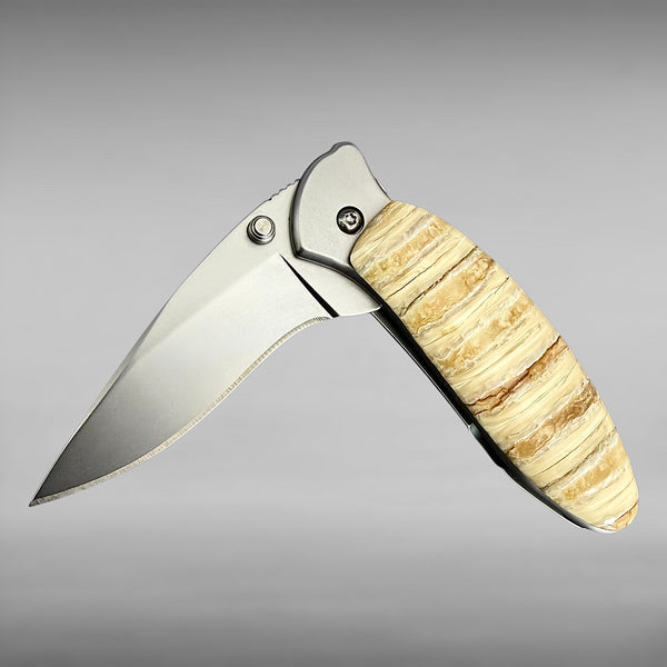 Kershaw 1600 w/ Mammoth Tooth