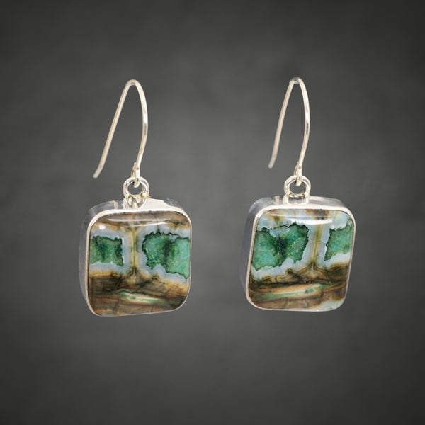 Mammoth Tooth Earrings