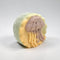 Northern Coastline Soap