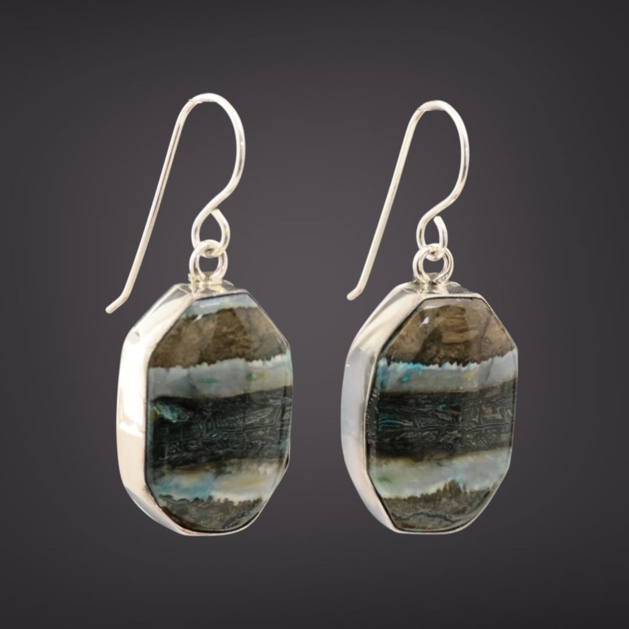 Mammoth Tooth Earrings