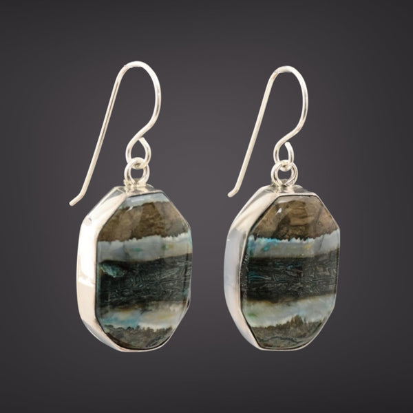 Mammoth Tooth Earrings