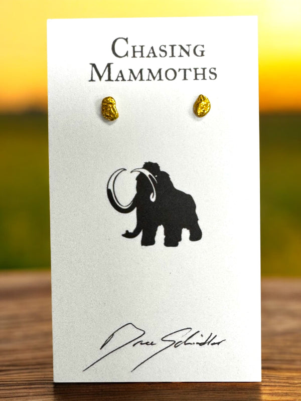 Gold Nugget Post Earrings