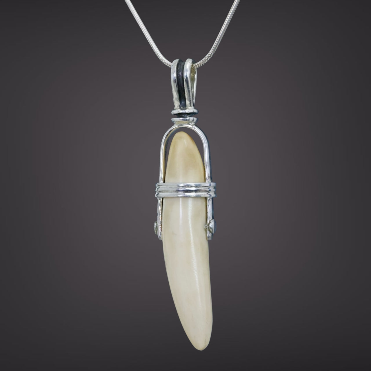 Walrus Tooth Pendant