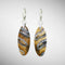 Mammoth Tooth Earrings